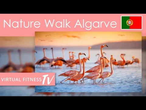 Virtual Nature Walk - Ria Formosa National Park - Algarve - Portugal