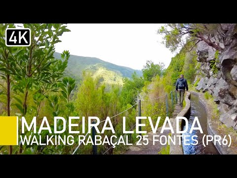 Madeira Portugal 2022 | Rabaçal Levada - (25 Fountains) - Madeira's Most Popular Walk