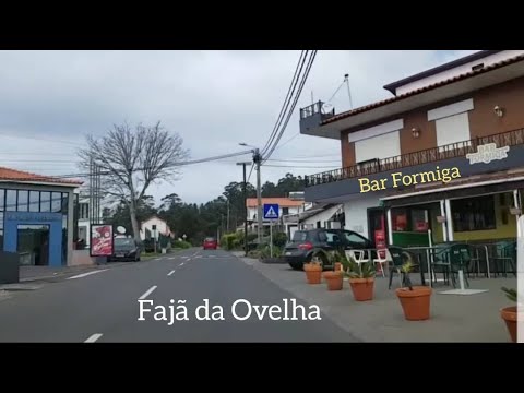 Prazeres Calheta - Fajã da Ovelha' Driving Roads Estradas da Madeira 2021 Popular