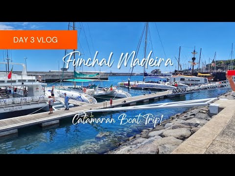 Catamaran Dolphin Watching in Funchal Madeira!! | what to expect!