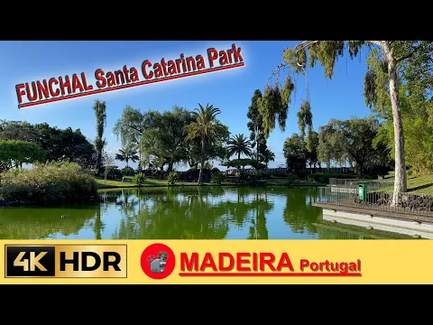 MADEIRA - Funchal Santa Catarina park in 💢4K #virtualmadeira