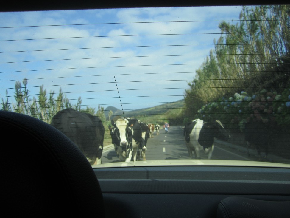 São Miguel car hire