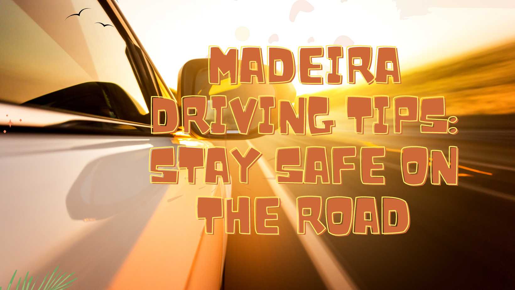 Madeira Driving Tips Stay Safe on the Road