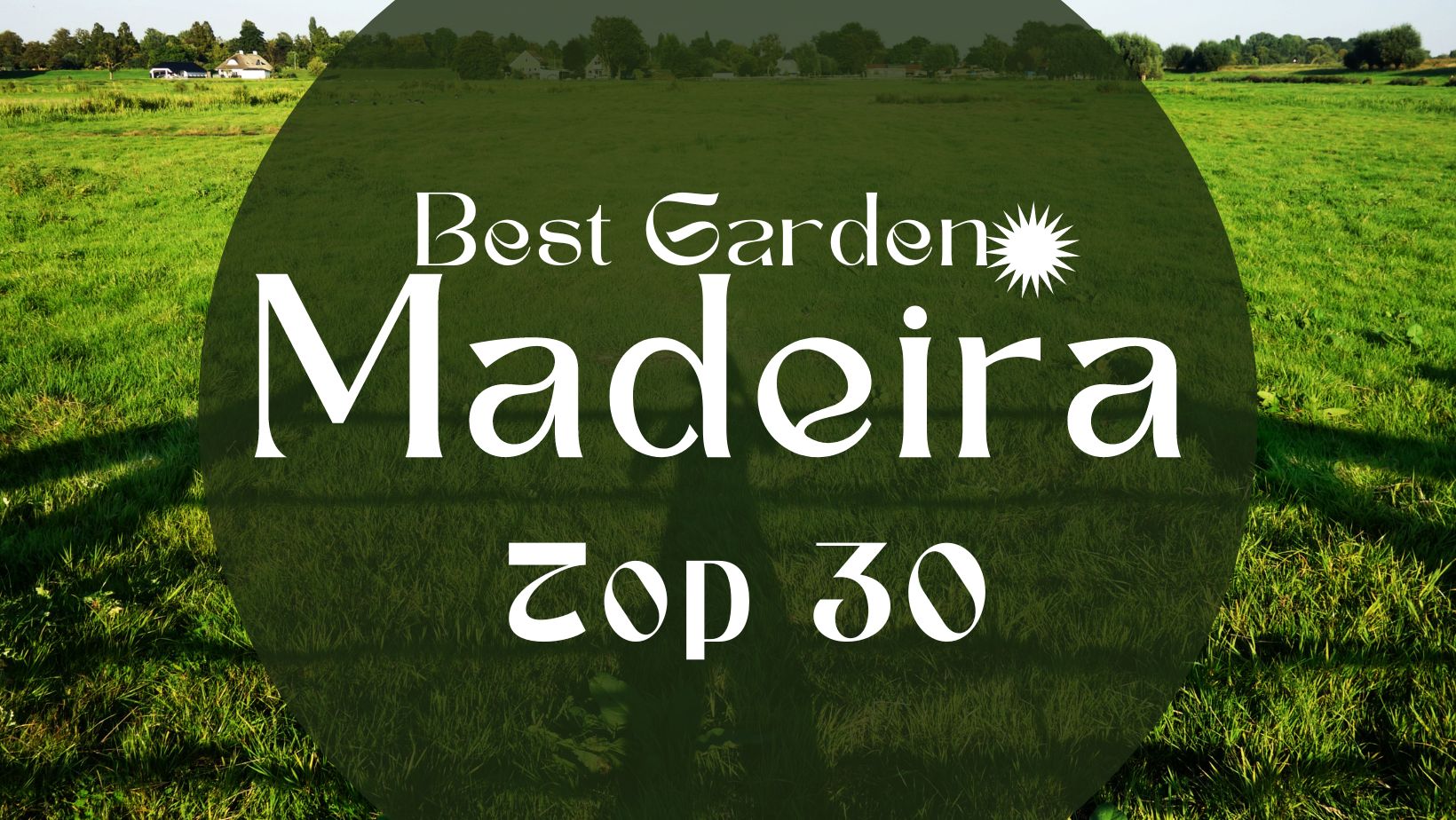 Top 30 Best Garden Madeira
