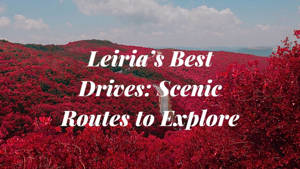 Best drives from Leiria 2