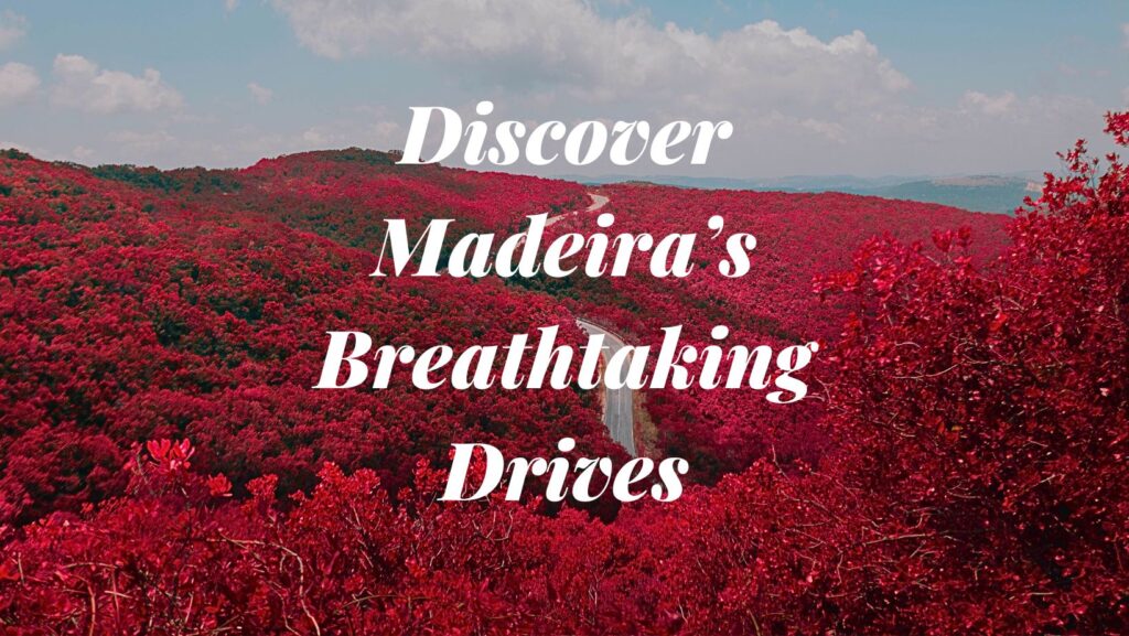 Scenic drives in Madeira 2