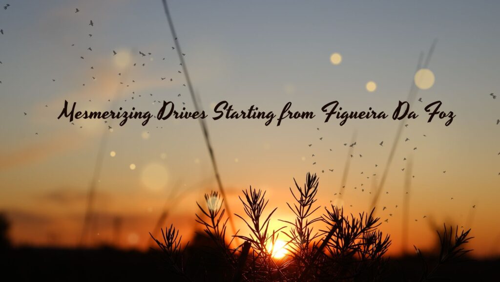 Scenic routes from Figueira Da Foz 2