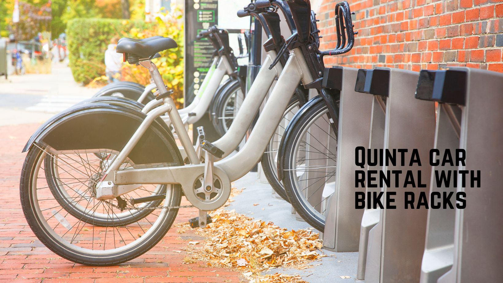 Dual Adventures in Quinta: Cars with Bike Racks