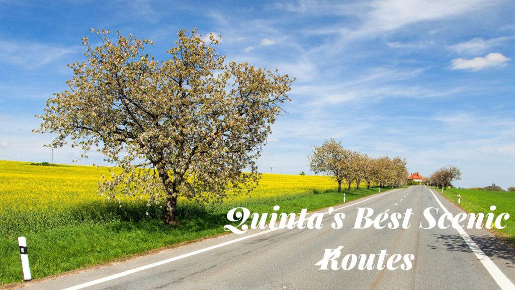 Quinta scenic drives 2