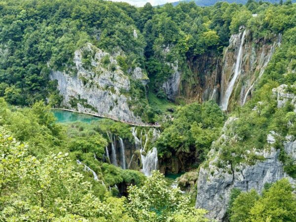 Scenic Waterfall and Forest Landscape