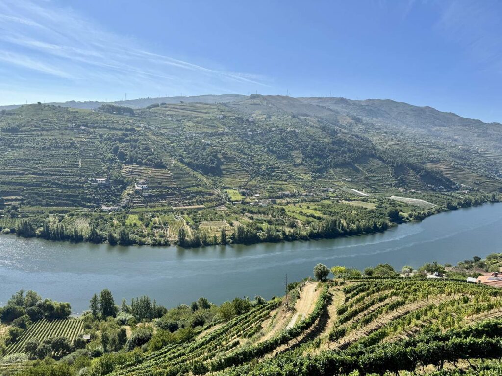 Vineyard terraces along the Douro River valley in northern Portugal Vineyard terraces along the Douro River valley in northern Portugal